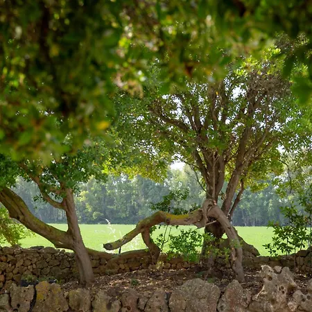 Alloggio per agriturismo La Genziana *